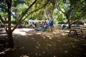 קמפינג דרך הנחל קיבוץ דפנה